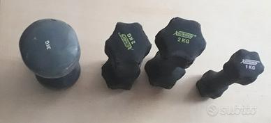Quattro manubri pesi fitness