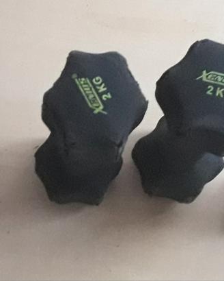 Quattro manubri pesi fitness