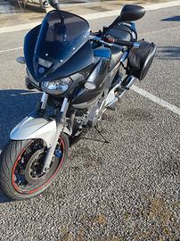 Yamaha Tdm 900 - 2006