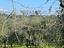 Immagine 7