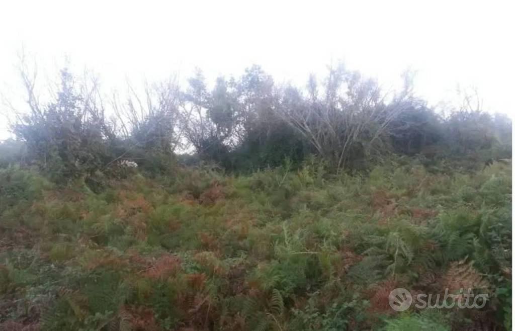 Immobile in asta di 1180 m² a Capo d'Orlando - Vista 2