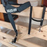 Julius-K9 Pettorina e guinzaglio Color & Gray