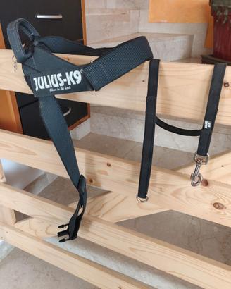 Julius-K9 Pettorina e guinzaglio Color & Gray