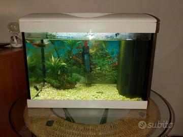 Acquario come nuovo