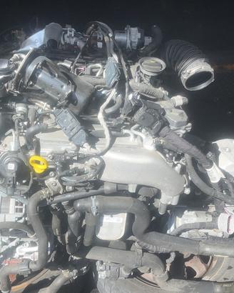 Motore Golf 8 “DTR”