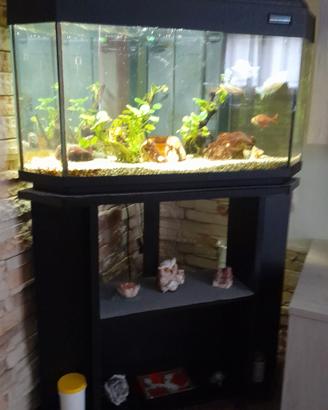 aquario