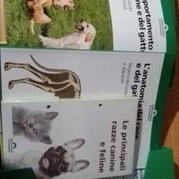 Libri animali care