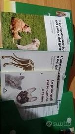 Libri animali care