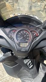 Sh 300 sport 2017
