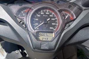 Sh 300 sport 2017