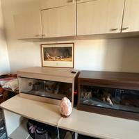 Struttura Libreria + tavolo + 3 scaffali a