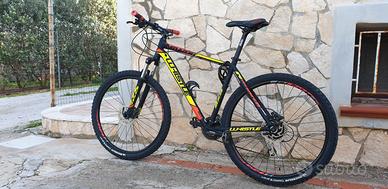 bici buone condizione