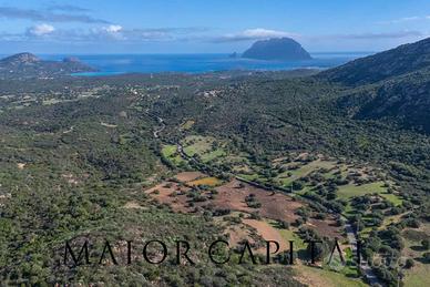 Loiri Porto San Paolo | Loc. Tiriddò | Terreno ag