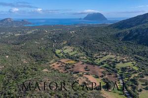 Loiri Porto San Paolo | Loc. Tiriddò | Terreno ag