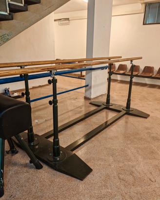 PARALLELE PROFESSIONALI GINNASTICA 
