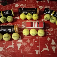 15 palline padel dunlop e head padel wilson 100