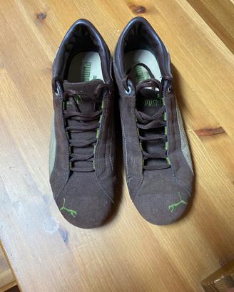 Puma scamosciate  43