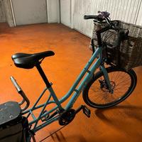 Bici cargo xtracycle