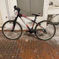 Bicicletta  Carnielli Ragazzo