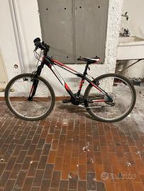 Bicicletta  Carnielli Ragazzo