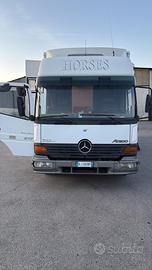 Mercedes ateco 817 per cavalli
