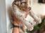 Immagine 4