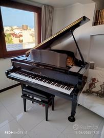 Pianoforte a coda