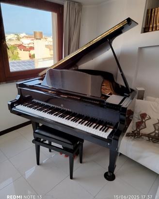 Pianoforte a coda