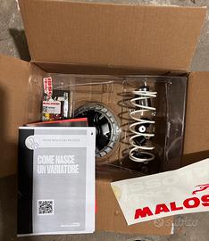 Variatore malossi