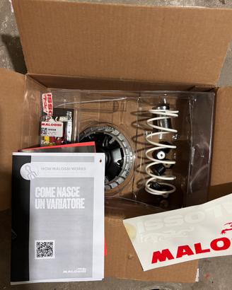 Variatore malossi