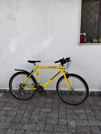 bici gialla 