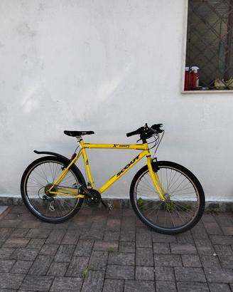 bici gialla 