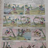 Giornalino dei piccoli