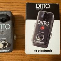 Ditto Looper Tc Electronic