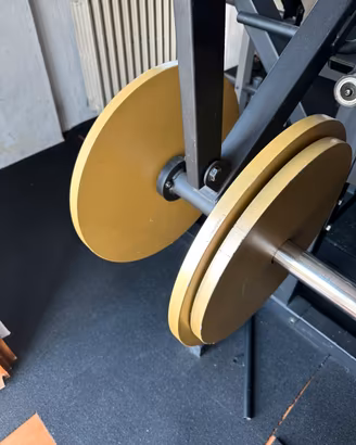 Piastre/dischi 25 kg
