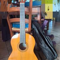Chitarra acustica c40