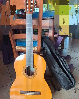 Chitarra acustica c40