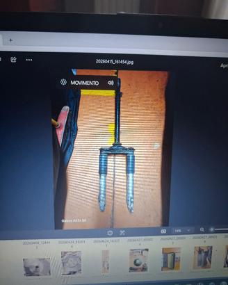 forcelle zip e pinza freno