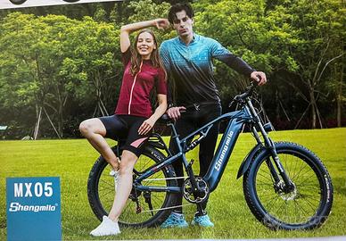 bici a pedalata assistita 