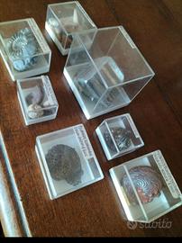 Lotto da collezione 7 Fossili e Minerali 