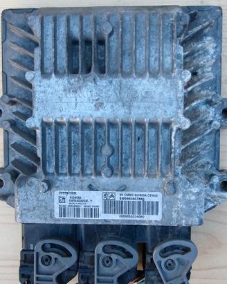 Lancia Peugeot Citroen Centralina  SW9663607880