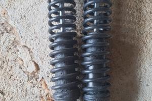 ammortizzatori aixam 