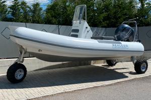 Sealegs 6.1m Amphibious Rigid Inflatable