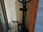 Immagine 5