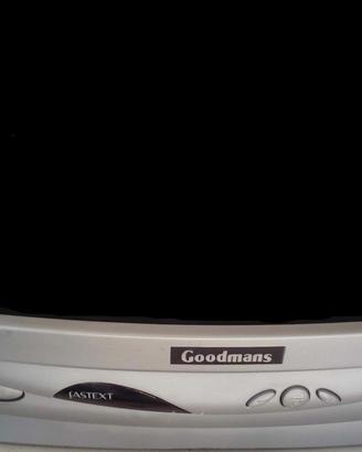 tv 14 pollici argento goodmans