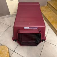 Vari kennel  box cani