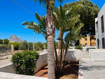Casa vacanze a Castelluzzo ( San Vito Lo Capo )