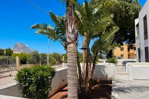 Casa vacanze a Castelluzzo ( San Vito Lo Capo )