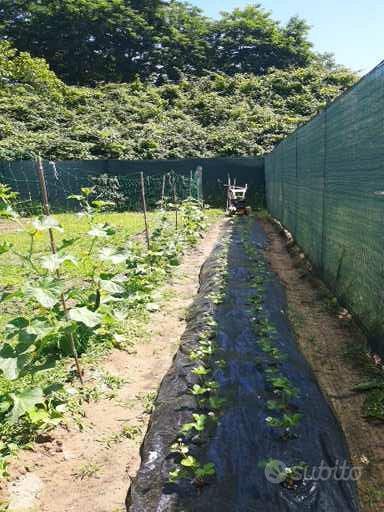 Terreno agricolo - Vista 2