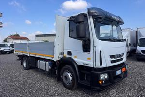 Iveco eurocargo 120E25 cassone 5.50 Mt 2016 E6